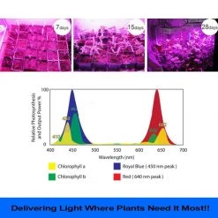 Crazy Crazy & More Crazy Deals Led 225 Grow Light Panel Blue/Red Lamp Bulb For Hydroponics Indoor Plant Grow Home & Garden
