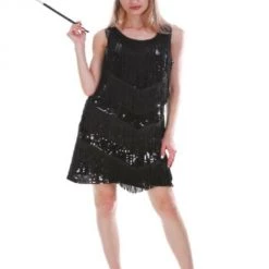 JD Party Adult 2020 New Years 1920s Costume 1920s Flapper Girl Great Gatsby Theme Dress Costumes