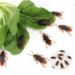 Unbranded 10 Fake Plastic Realistic Cockroaches Bug Insect Halloween Trick Prank Halloween Costumes