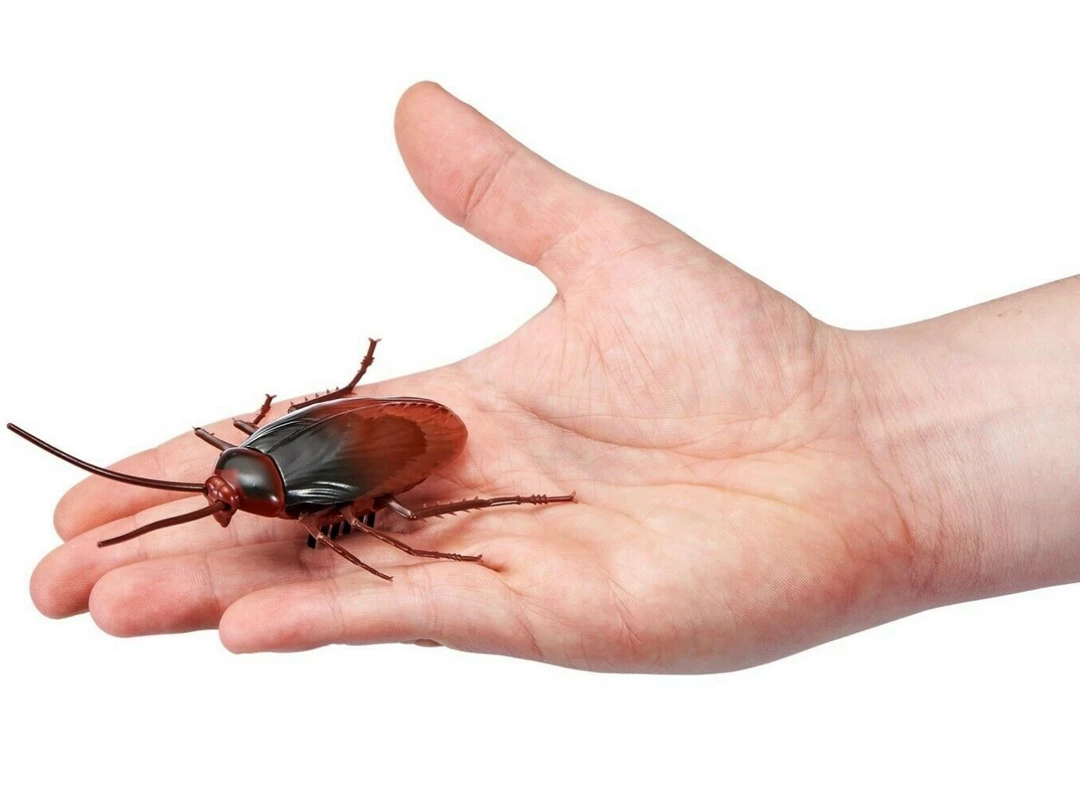 ABT Robo Alive Robotic Crawling Cockroach Realistic Movement Features & Colouration 2 ABT Robo Alive Robotic Crawling Cockroach Realistic Movement Features & Colouration