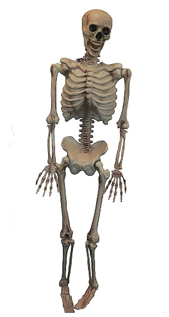 Sweidas Halloween Props/Decoration Realistic Life Size Skeleton Halloween Graveyard Horror Prop Costume Decoration 2 Sweidas Halloween Props/Decoration Realistic Life Size Skeleton Halloween Graveyard Horror Prop Costume Decoration