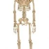 Morris Alien Skeleton Bone 94cm Halloween Decoration Prop Halloween Props/Decoration