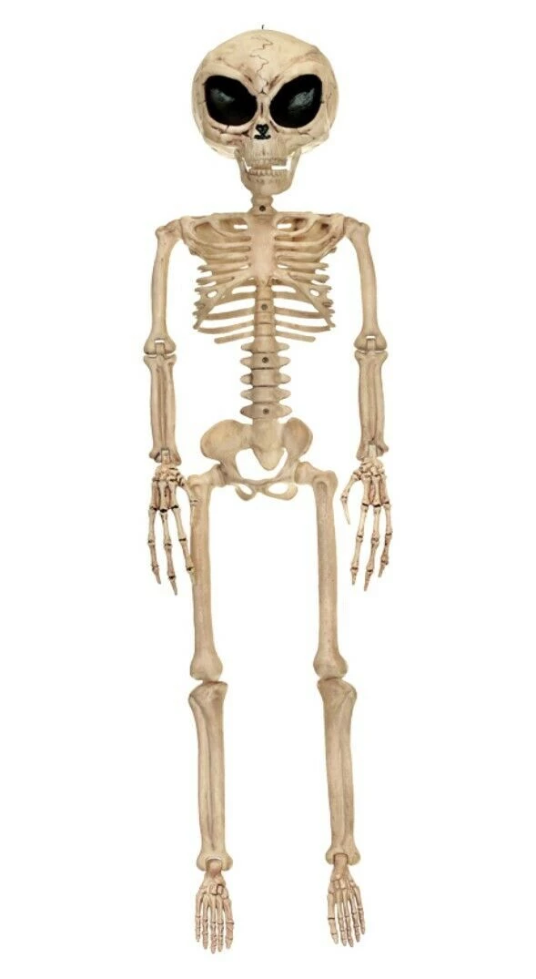 Morris Alien Skeleton Bone 94cm Halloween Decoration Prop Halloween Props/Decoration 1 Morris Alien Skeleton Bone 94cm Halloween Decoration Prop Halloween Props/Decoration