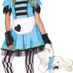Sweidas Alice Wild Wonderland Tween Halloween Girls Costume Costumes