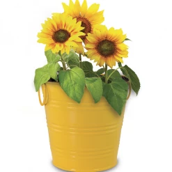 CATCH Grow Sunflowers For WindowSills Office | Metal Pot Seeds & Soil Pellets Included