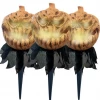 Unbranded Halloween Props/Decoration Pack Of 3 Animated Light Up Pumpkin Heads Pathway Garden Markers Halloween Props
