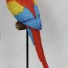MALMAR Home & Garden 37cm Macaw Bird On Stand -Majestic Tropical Parrot Maccaw Ornament Figurine