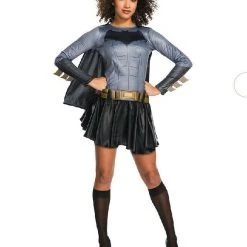 Rubies Deerfield DC Comics Batgirl Dress Ladies Costume