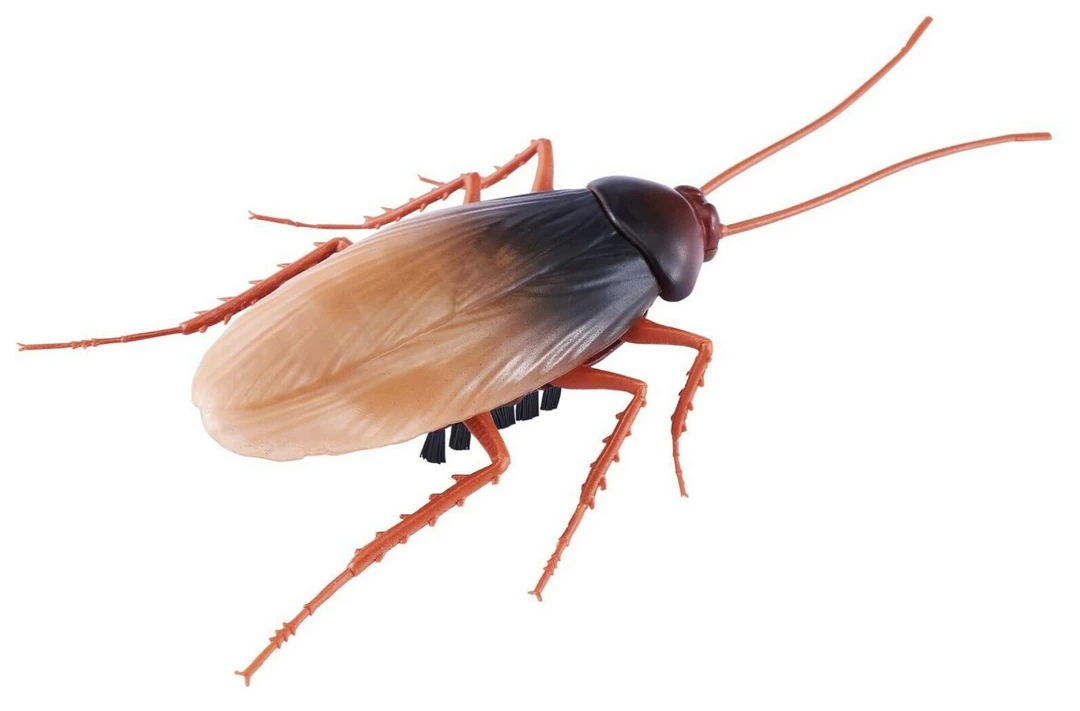 ABT Robo Alive Robotic Crawling Cockroach Realistic Movement Features & Colouration 4 ABT Robo Alive Robotic Crawling Cockroach Realistic Movement Features & Colouration