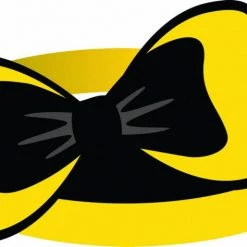 Balloon Agencies The Wiggles Lolly Bags Napkins Banners Masks Balloons Party Supplies Decorations