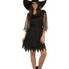 Rubie's Sexy Witch Classic Size STD Halloween Ladies Costume Halloween Costumes