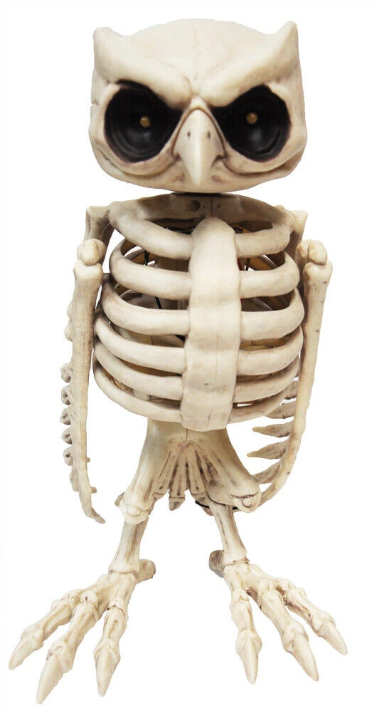Unbranded Halloween Props/Decoration Animated Skeleton Owl Halloween Decoration Prop 1 Unbranded Halloween Props/Decoration Animated Skeleton Owl Halloween Decoration Prop