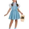 Rubies Deerfield Costumes Dorothy Classic Dress Girls Costume