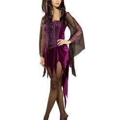 Rubie's Halloween Costumes Enchantra Evening Enchantress Witch Classic Size Standard Ladies Costume