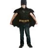 Rubies Deerfield Costumes Batman Dark Knight Rises Dress Up Size Small 3-6 Boys Costume Set