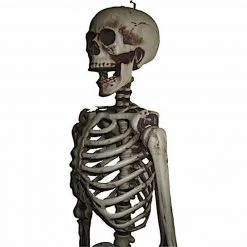Sweidas Halloween Props/Decoration Realistic Life Size Skeleton Halloween Graveyard Horror Prop Costume Decoration 5 Sweidas Halloween Props/Decoration Realistic Life Size Skeleton Halloween Graveyard Horror Prop Costume Decoration