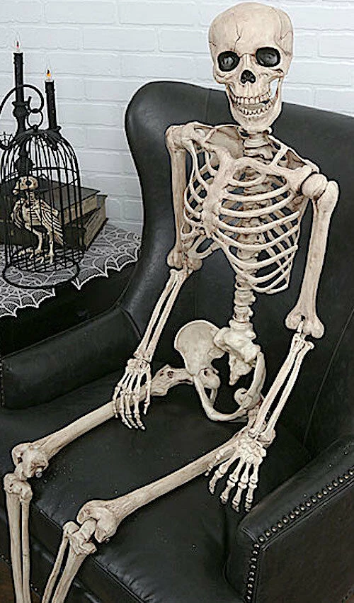 Sweidas Halloween Props/Decoration Realistic Life Size Skeleton Halloween Graveyard Horror Prop Costume Decoration 1 Sweidas Halloween Props/Decoration Realistic Life Size Skeleton Halloween Graveyard Horror Prop Costume Decoration