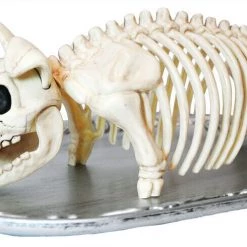 Morris Roasted Pig Skeleton Platter Halloween Party Decoration Halloween Props/Decoration