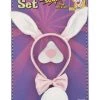 Tomfoolery Bunny Rabbit 4Pce Costume Set With Sound Effects Headband Tail Bow Tie Nose Costume Accessories