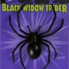 Morris Costumes Halloween Props/Decoration Realistic Black Widow Spider Halloween Decoration Prop 15cm Scary Prank Gag
