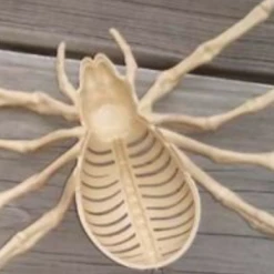 Morris Costumes Pack Of 3 Skeleton Spiders Halloween Props Halloween Props/Decoration