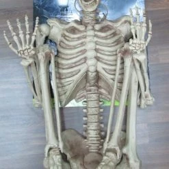 Sweidas 60 Inches Hanging Skeleton Halloween Decoration Prop Halloween Props/Decoration