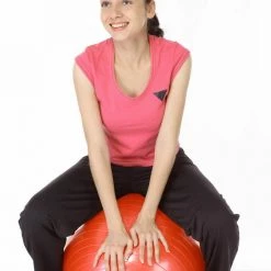 Kmart Health & Beauty ANTI-BURST GYM BALL Exercise 55cm Inflatable Physio Balance Yoga Fitness Gym