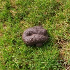 Williamvalentine Costume Accessories BigMouth – Busters Hide-A-Key Dog Poop Realistic Fake Dog Poop