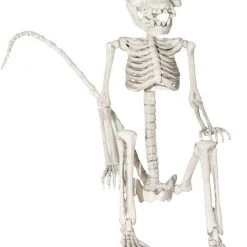 Unbranded 61cm Monkey Human Skeleton Halloween Decoration Prop