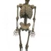 Sweidas 60 Inches Hanging Skeleton Halloween Decoration Prop Halloween Props/Decoration