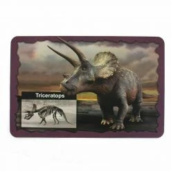 TNW Australia Dinosaur Excavation Kit With D.I.Y Glowing Skeleton Home & Garden