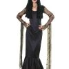 Rubie's Halloween Costumes Addams Family Morticia Vampire Witch Halloween Ladies Costume