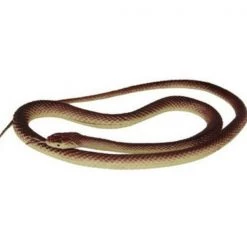 44cm Realistic Trick Toy Simulation Small Rubber Snakes Whimsy