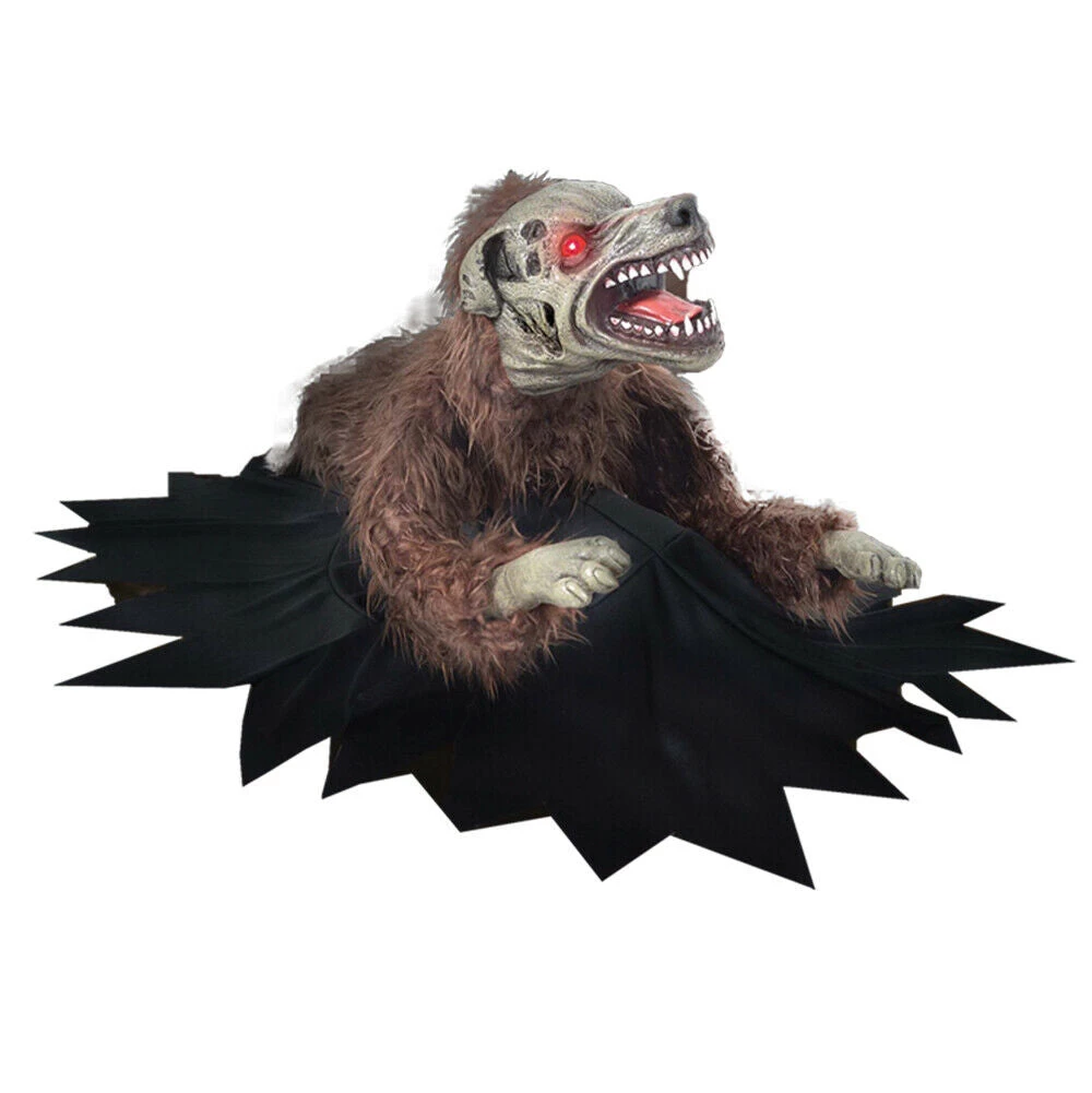 Unbranded Halloween Props/Decoration Animated Lunging Mad Dog Bump & Go Zombie Clawing Cathy Halloween Decoration 1 Unbranded Halloween Props/Decoration Animated Lunging Mad Dog Bump & Go Zombie Clawing Cathy Halloween Decoration