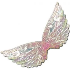 Sweidas Opal Aura Mini Fairy Holographic Wings Girls Costume Accessory