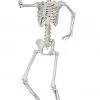 Unbranded 61cm Monkey Human Skeleton Halloween Decoration Prop