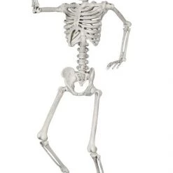 Unbranded 61cm Monkey Human Skeleton Halloween Decoration Prop