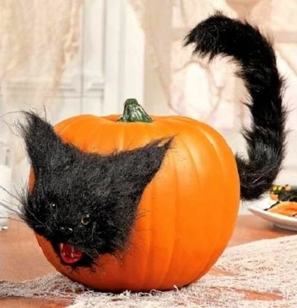 Morris Costumes Halloween Props/Decoration Black Cat Pumpkin Push In Halloween Decoration Black Cat Cake Topper 1 Morris Costumes Halloween Props/Decoration Black Cat Pumpkin Push In Halloween Decoration Black Cat Cake Topper