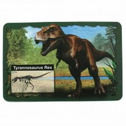 TNW Australia Dinosaur Excavation Kit With D.I.Y Glowing Skeleton Home & Garden
