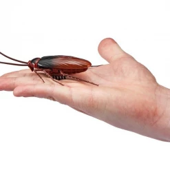 ABT Robo Alive Robotic Crawling Cockroach Realistic Movement Features & Colouration 8 ABT Robo Alive Robotic Crawling Cockroach Realistic Movement Features & Colouration