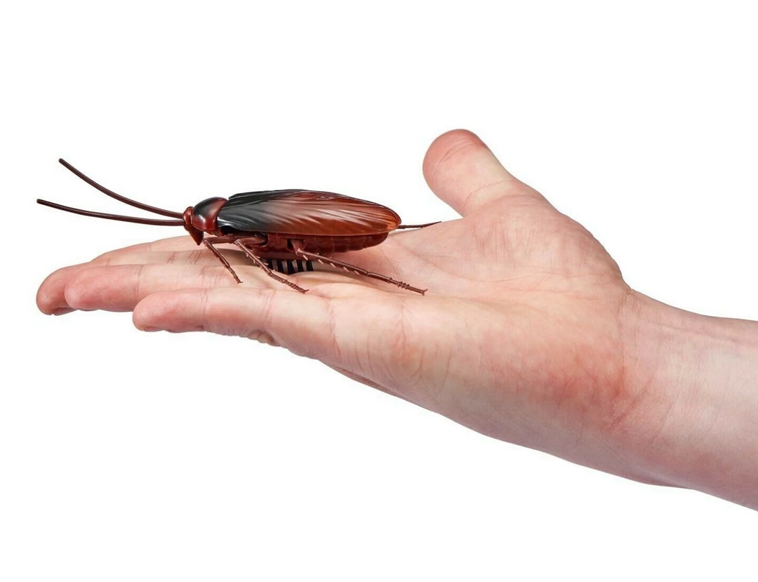 ABT Robo Alive Robotic Crawling Cockroach Realistic Movement Features & Colouration 3 ABT Robo Alive Robotic Crawling Cockroach Realistic Movement Features & Colouration