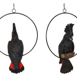 MALMAR Australian Native Black Cockatoo In Ring Native Bird Garden Hanging Ornament 34c