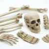 Sweidas Halloween Props/Decoration Bag Of Skeleton Bones 12Pc Halloween Decoration Prop Kit