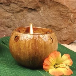 Morris Costumes Coconut Tealight Candle Holder Island Party Home Decorations Party Supplies