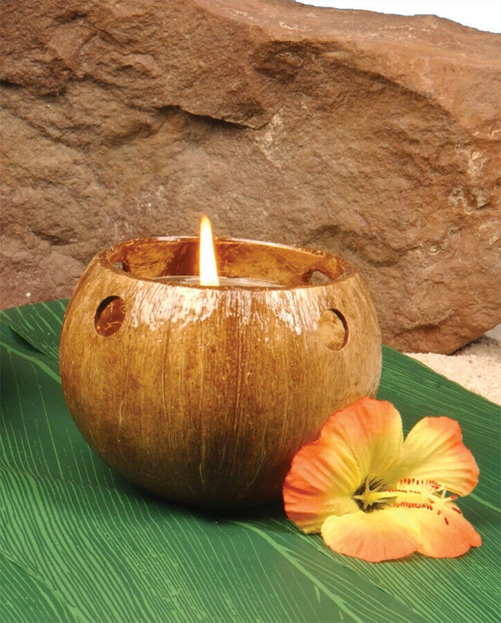 Morris Costumes Coconut Tealight Candle Holder Island Party Home Decorations Party Supplies 1 Morris Costumes Coconut Tealight Candle Holder Island Party Home Decorations Party Supplies