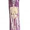Unbranded 92cm Skeleton Glow-In-The-Dark Halloween Decoration Prop