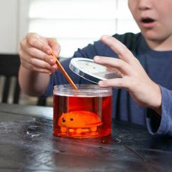 MDI Crystal Growing Hedehog Experimental Kids Arts & Craft Kit Grow Your Own Animal Home & Garden 18 MDI Crystal Growing Hedehog Experimental Kids Arts & Craft Kit Grow Your Own Animal Home & Garden