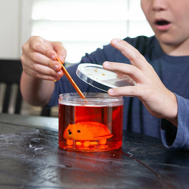 MDI Crystal Growing Hedehog Experimental Kids Arts & Craft Kit Grow Your Own Animal Home & Garden 9 MDI Crystal Growing Hedehog Experimental Kids Arts & Craft Kit Grow Your Own Animal Home & Garden