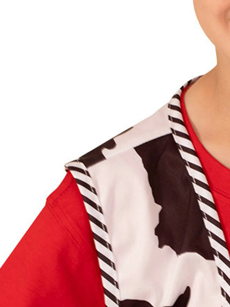 Rubies Deerfield Disney Toy Story 4 Woody Vest And Hat Costume Accessory Set 2 Rubies Deerfield Disney Toy Story 4 Woody Vest And Hat Costume Accessory Set