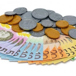 Unbranded Home & Garden 40 Pce Australian Play Money Coins Notes Maths Pretend Shopping Gambling Games